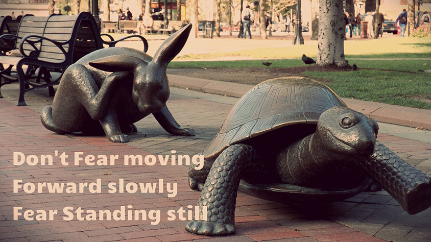 Are-you-the-hare-or-the-tortoise-