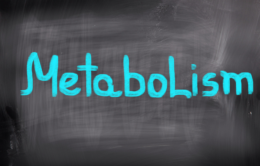Is my metabolism broken?